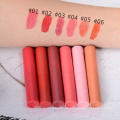 Cosmetics Lipgloss Kosmetisches Make-up Flüssiger Lippenstift